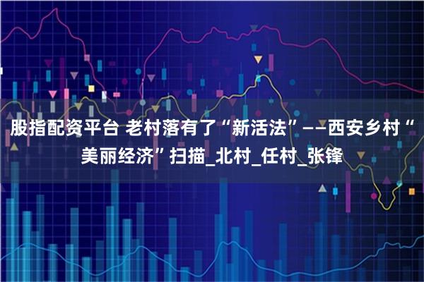 股指配资平台 老村落有了“新活法”——西安乡村“美丽经济”扫描_北村_任村_张锋