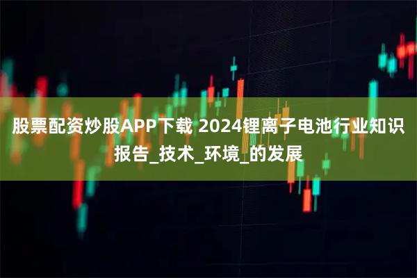 股票配资炒股APP下载 2024锂离子电池行业知识报告_技术_环境_的发展