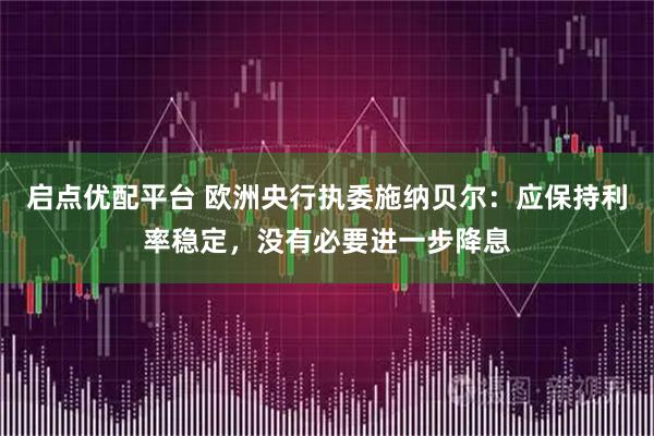 启点优配平台 欧洲央行执委施纳贝尔：应保持利率稳定，没有必要进一步降息