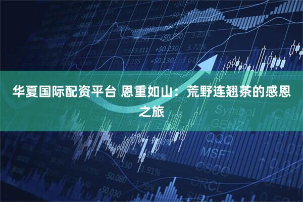华夏国际配资平台 恩重如山：荒野连翘茶的感恩之旅