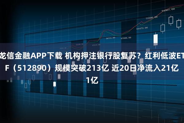 龙信金融APP下载 机构押注银行股复苏？红利低波ETF（512890）规模突破213亿 近20日净流入21亿